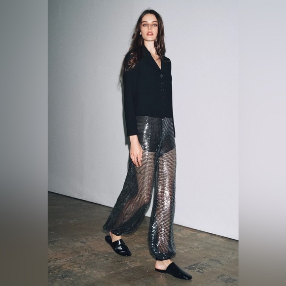 ZW COLLECTION SEQUIN BALLOON PANTS - Picture 7 of 15